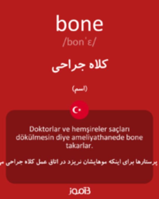  تصویر bone - دیکشنری انگلیسی بیاموز