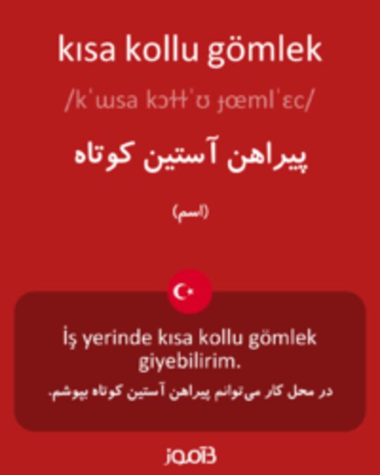  تصویر kısa kollu gömlek - دیکشنری انگلیسی بیاموز