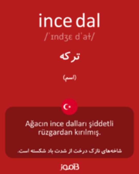  تصویر ince dal - دیکشنری انگلیسی بیاموز