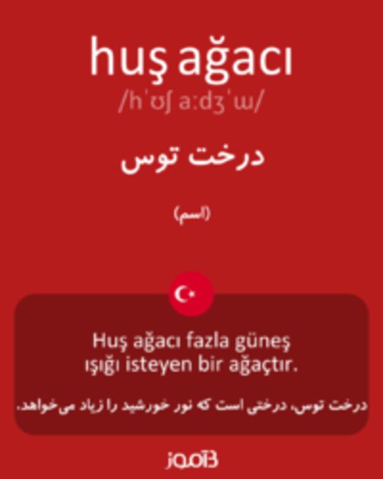  تصویر huş ağacı - دیکشنری انگلیسی بیاموز