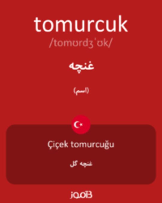  تصویر tomurcuk - دیکشنری انگلیسی بیاموز