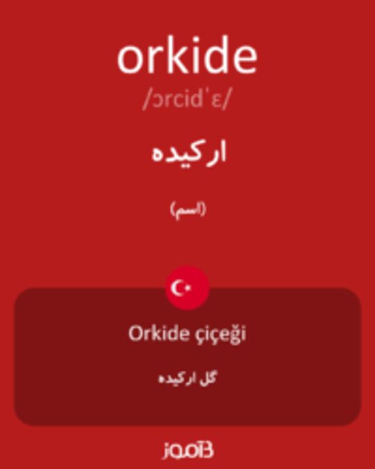  تصویر orkide - دیکشنری انگلیسی بیاموز