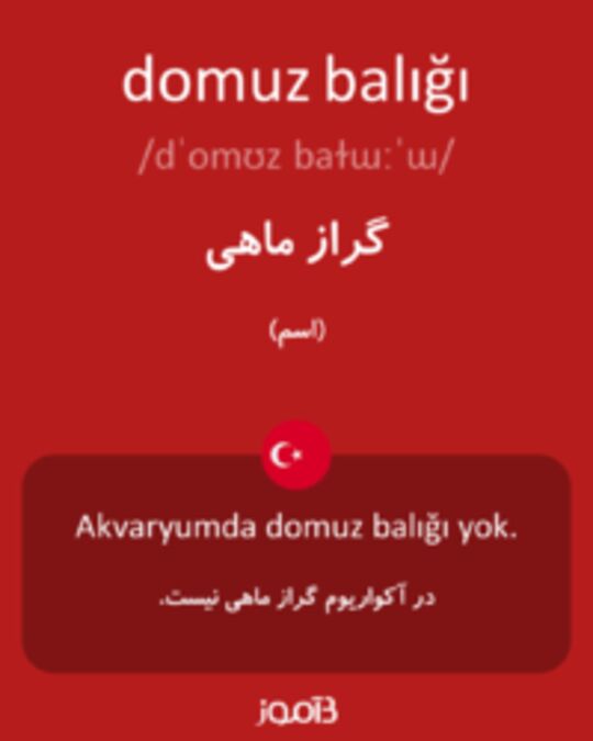  تصویر domuz balığı - دیکشنری انگلیسی بیاموز