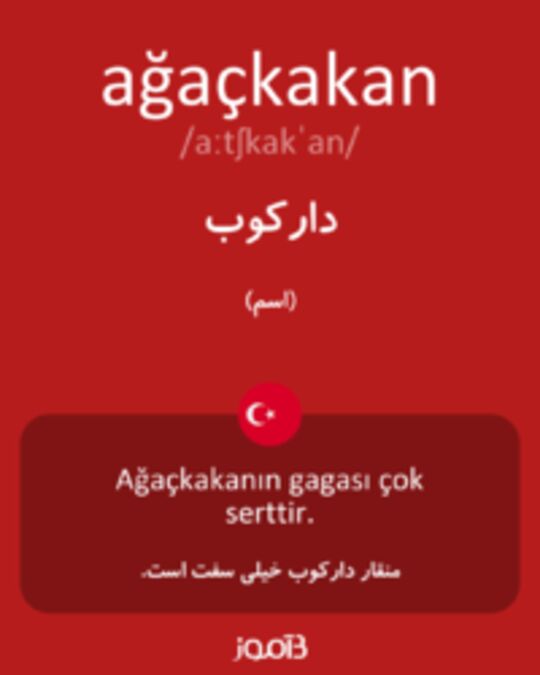  تصویر ağaçkakan - دیکشنری انگلیسی بیاموز