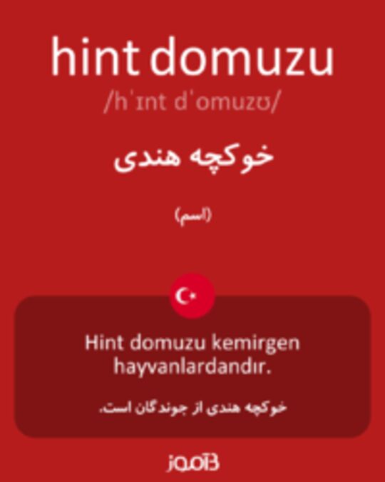  تصویر hint domuzu - دیکشنری انگلیسی بیاموز