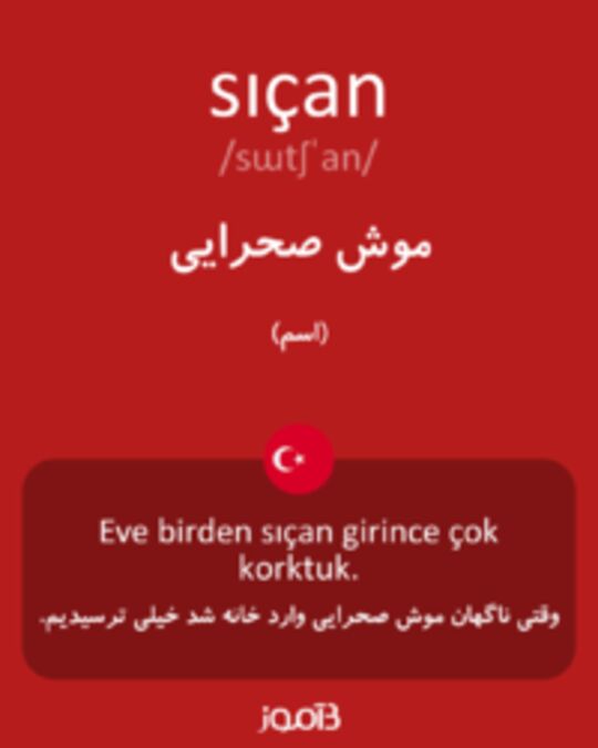  تصویر sıçan - دیکشنری انگلیسی بیاموز