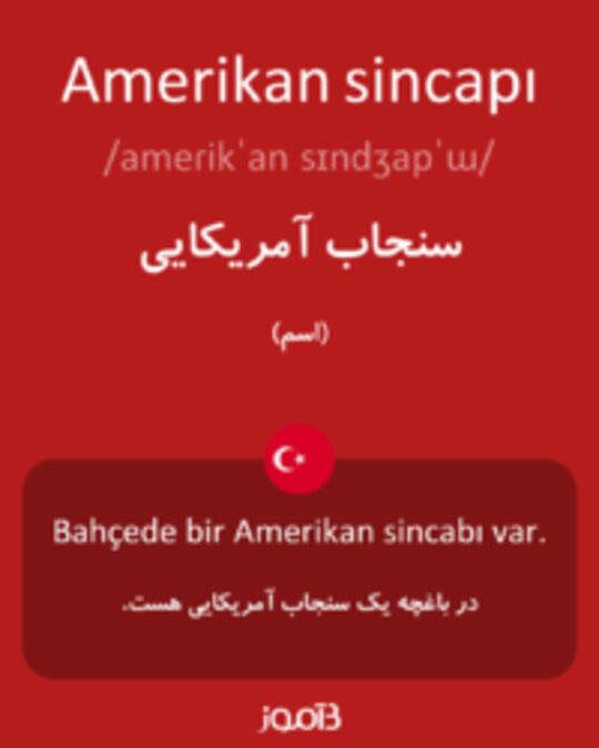  تصویر Amerikan sincapı - دیکشنری انگلیسی بیاموز