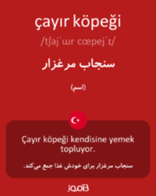  تصویر çayır köpeği - دیکشنری انگلیسی بیاموز