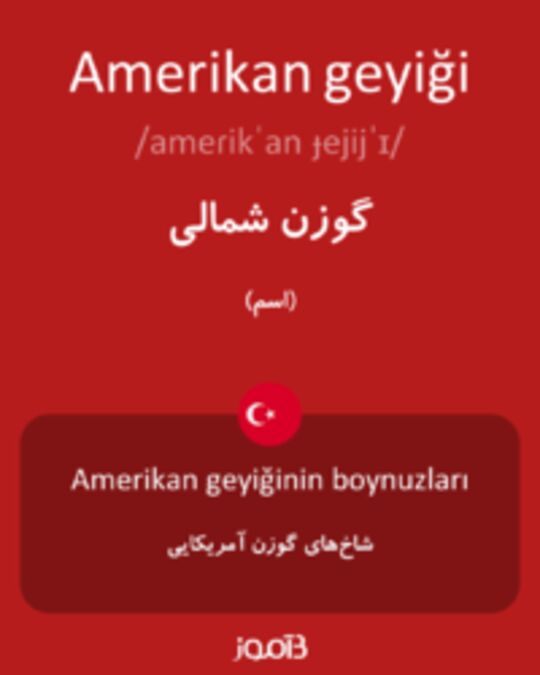  تصویر Amerikan geyiği - دیکشنری انگلیسی بیاموز