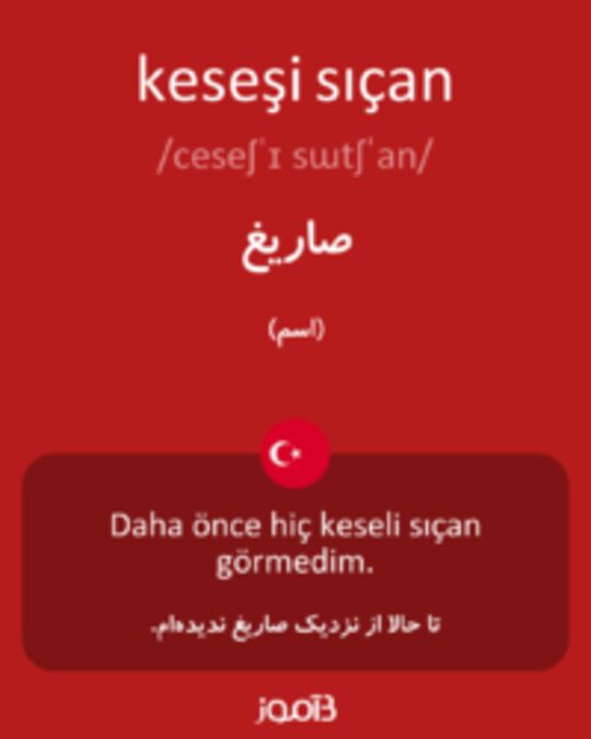  تصویر keseşi sıçan - دیکشنری انگلیسی بیاموز