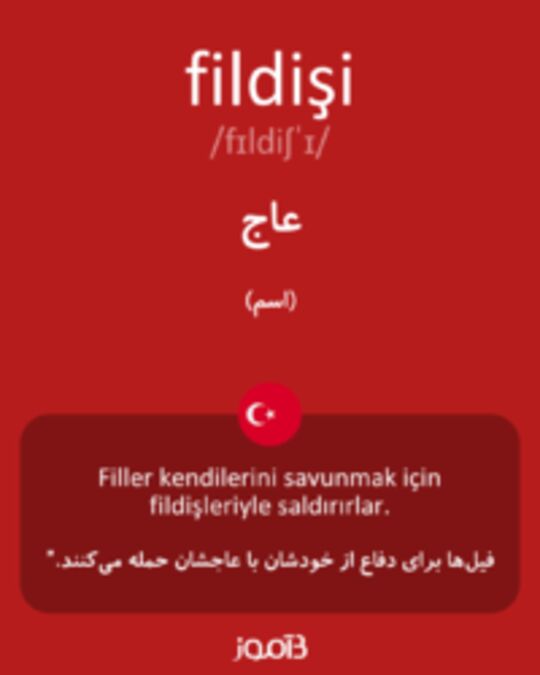  تصویر fildişi - دیکشنری انگلیسی بیاموز