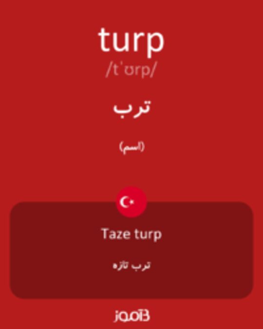  تصویر turp - دیکشنری انگلیسی بیاموز