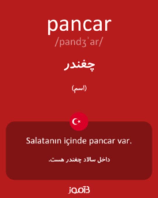  تصویر pancar - دیکشنری انگلیسی بیاموز