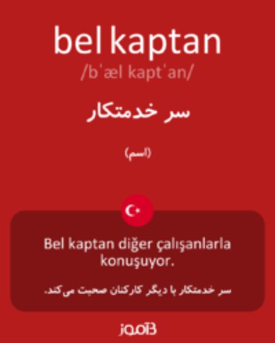  تصویر bel kaptan - دیکشنری انگلیسی بیاموز