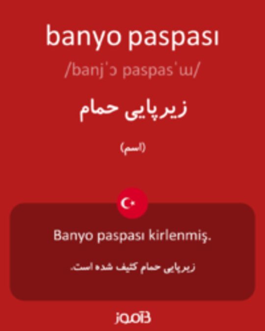  تصویر banyo paspası - دیکشنری انگلیسی بیاموز