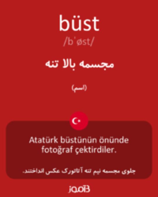  تصویر büst - دیکشنری انگلیسی بیاموز