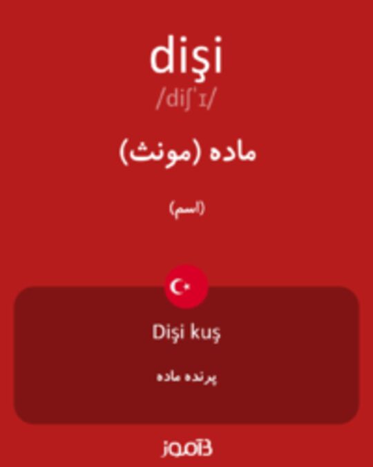  تصویر dişi - دیکشنری انگلیسی بیاموز