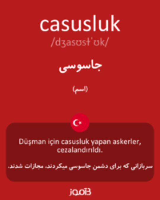  تصویر casusluk - دیکشنری انگلیسی بیاموز