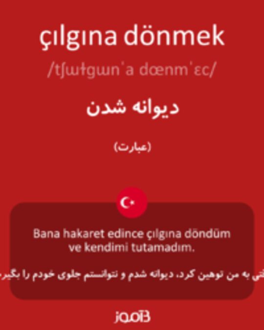  تصویر çılgına dönmek - دیکشنری انگلیسی بیاموز