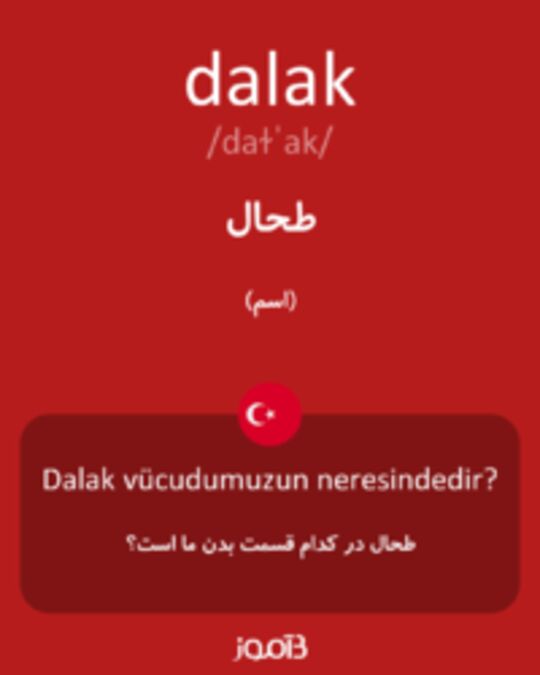  تصویر dalak - دیکشنری انگلیسی بیاموز