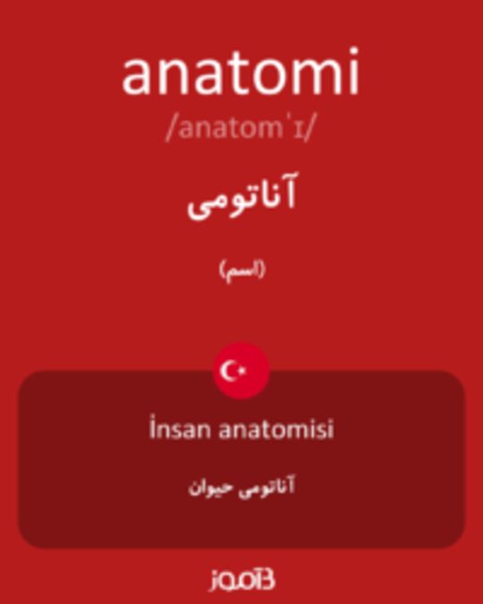  تصویر anatomi - دیکشنری انگلیسی بیاموز