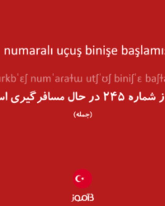  تصویر 245 numaralı uçuş binişe başlamıştır. - دیکشنری انگلیسی بیاموز
