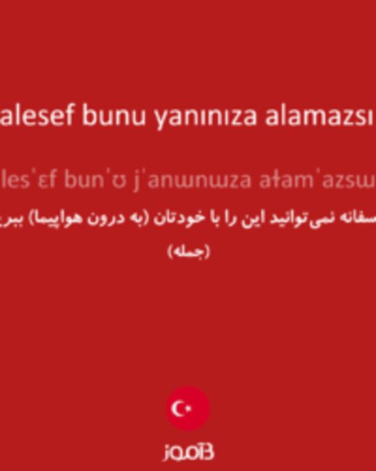  تصویر Maalesef bunu yanınıza alamazsınız. - دیکشنری انگلیسی بیاموز