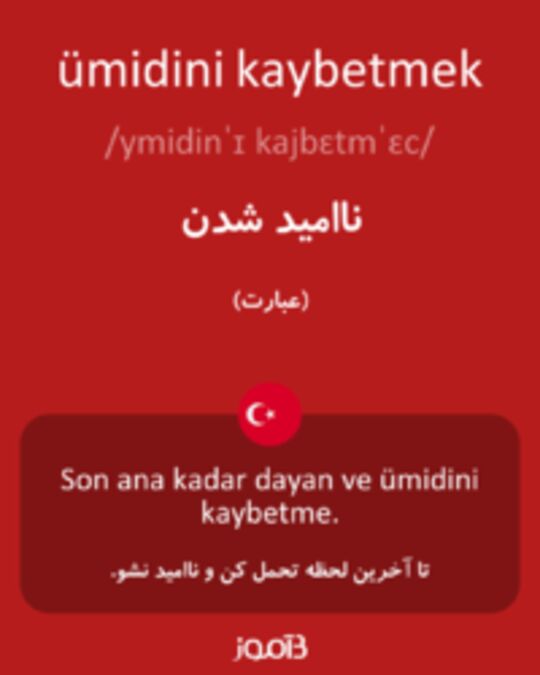  تصویر ümidini kaybetmek - دیکشنری انگلیسی بیاموز