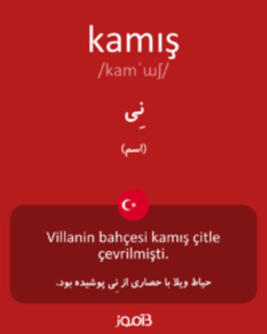  تصویر kamış - دیکشنری انگلیسی بیاموز