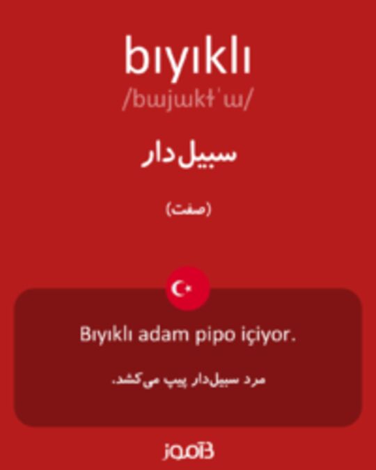  تصویر bıyıklı - دیکشنری انگلیسی بیاموز