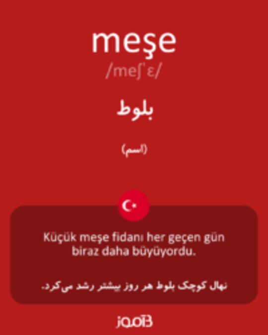  تصویر meşe - دیکشنری انگلیسی بیاموز