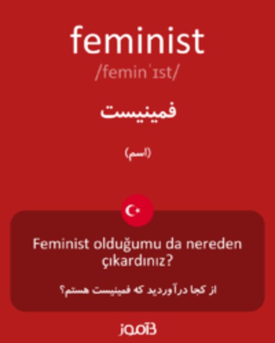  تصویر feminist - دیکشنری انگلیسی بیاموز