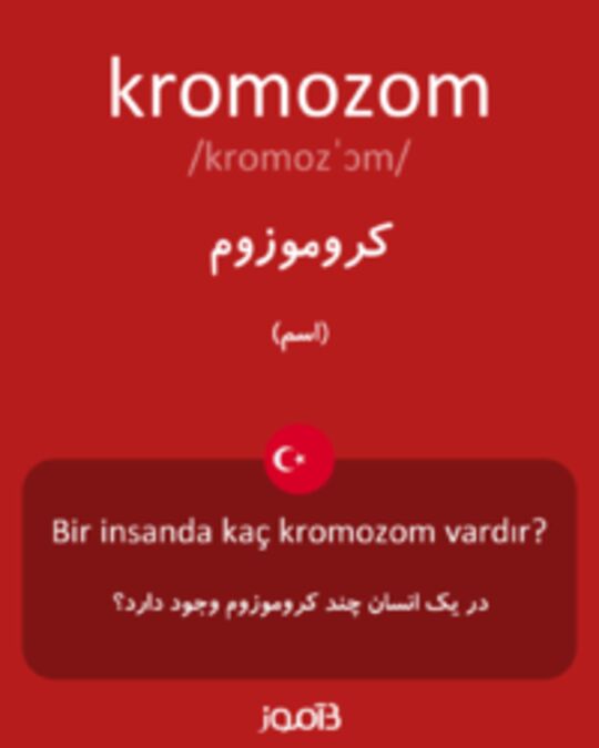  تصویر kromozom - دیکشنری انگلیسی بیاموز