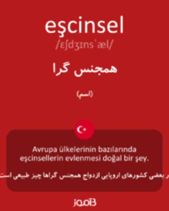  تصویر eşcinsel - دیکشنری انگلیسی بیاموز