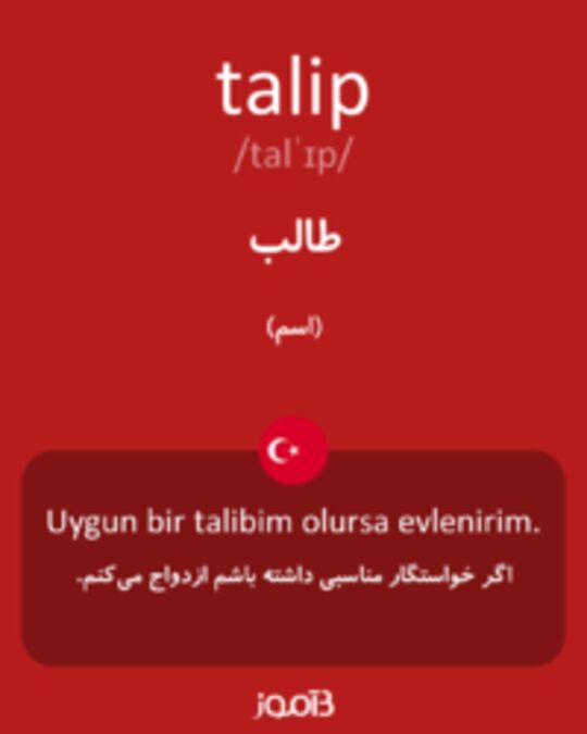  تصویر talip - دیکشنری انگلیسی بیاموز