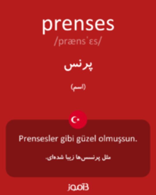  تصویر prenses - دیکشنری انگلیسی بیاموز