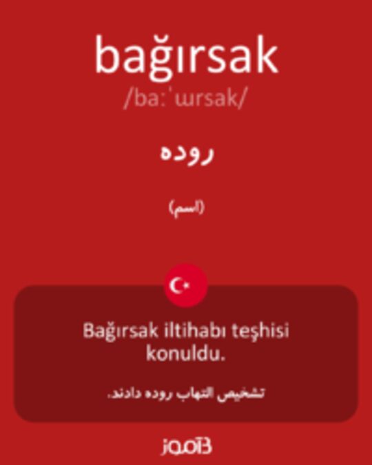 تصویر bağırsak - دیکشنری انگلیسی بیاموز
