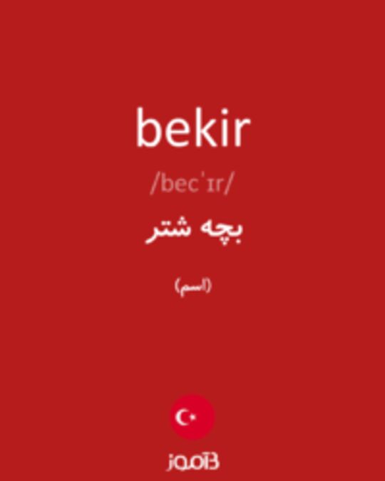  تصویر bekir - دیکشنری انگلیسی بیاموز