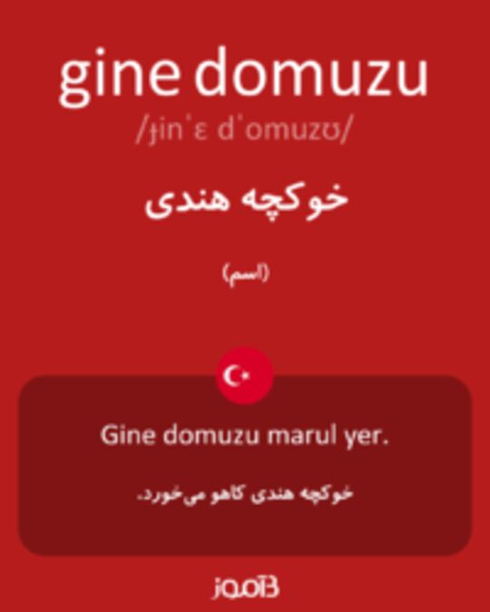  تصویر gine domuzu - دیکشنری انگلیسی بیاموز