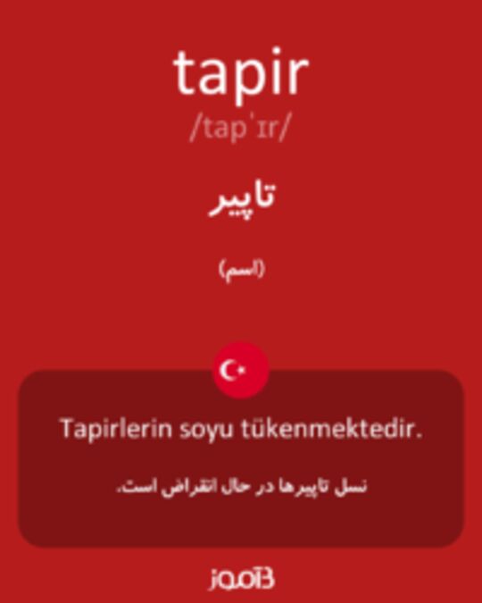  تصویر tapir - دیکشنری انگلیسی بیاموز