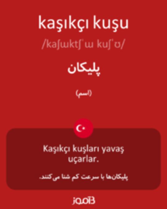  تصویر kaşıkçı kuşu - دیکشنری انگلیسی بیاموز