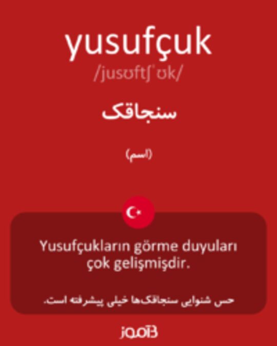  تصویر yusufçuk - دیکشنری انگلیسی بیاموز