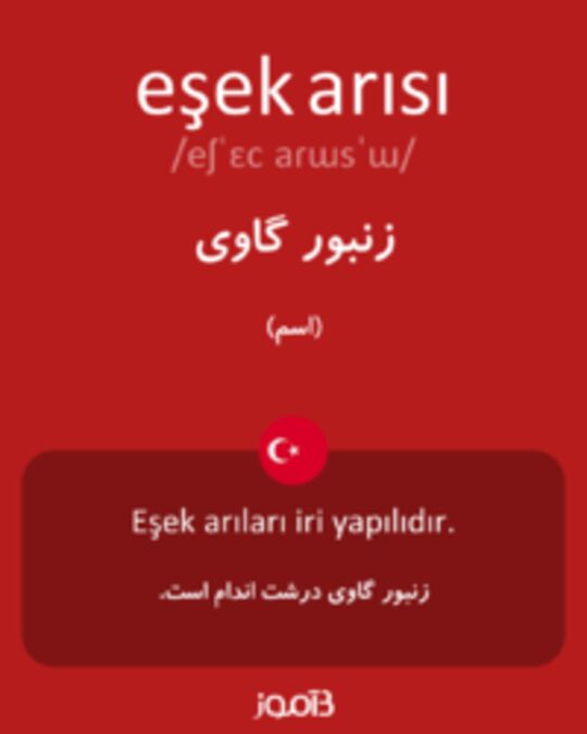  تصویر eşek arısı - دیکشنری انگلیسی بیاموز