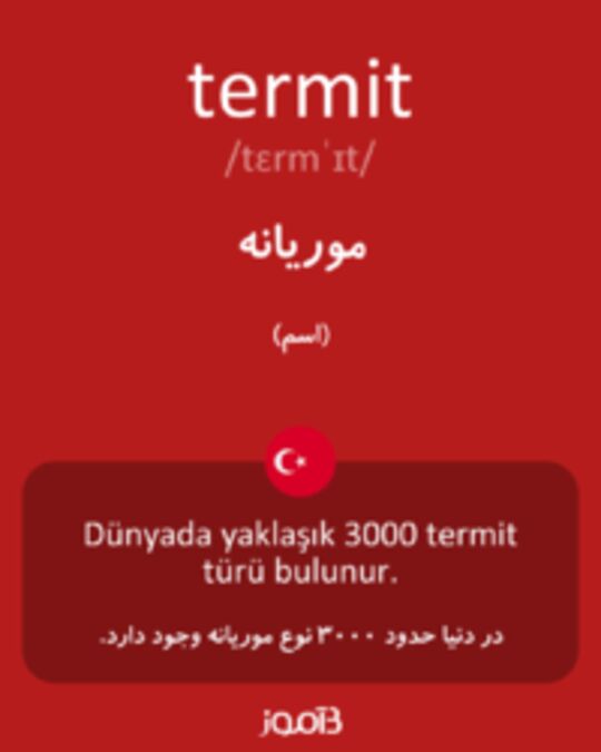  تصویر termit - دیکشنری انگلیسی بیاموز