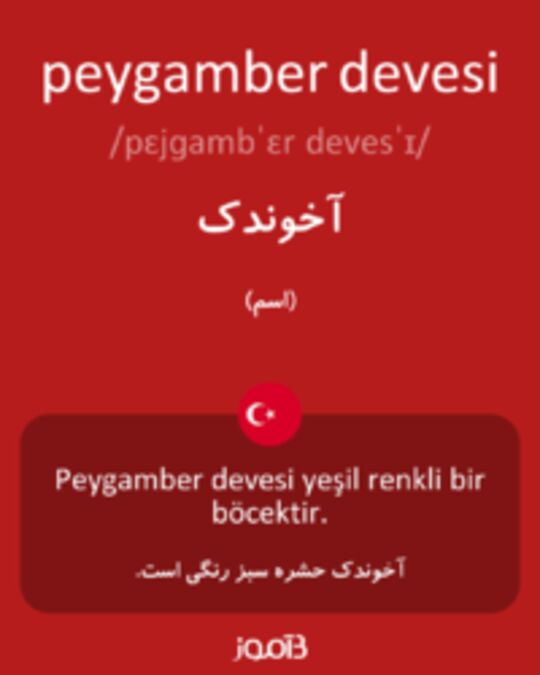  تصویر peygamber devesi - دیکشنری انگلیسی بیاموز