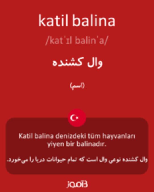  تصویر katil balina - دیکشنری انگلیسی بیاموز