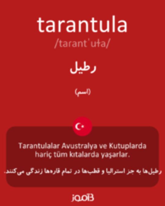  تصویر tarantula - دیکشنری انگلیسی بیاموز