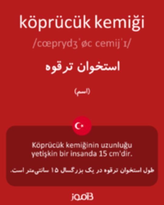  تصویر köprücük kemiği - دیکشنری انگلیسی بیاموز