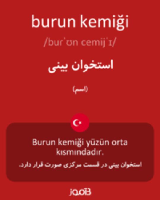  تصویر burun kemiği - دیکشنری انگلیسی بیاموز