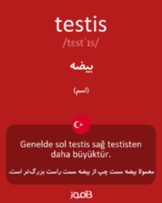  تصویر testis - دیکشنری انگلیسی بیاموز